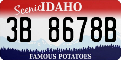 ID license plate 3B8678B