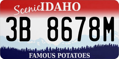 ID license plate 3B8678M