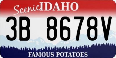 ID license plate 3B8678V