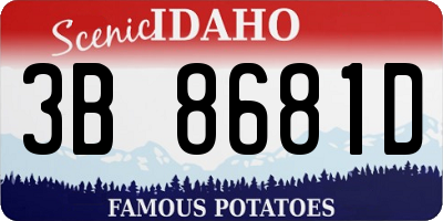 ID license plate 3B8681D