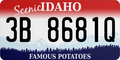ID license plate 3B8681Q