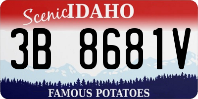 ID license plate 3B8681V