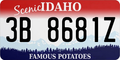 ID license plate 3B8681Z