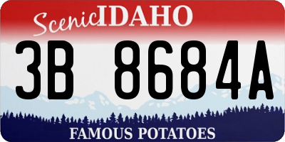 ID license plate 3B8684A