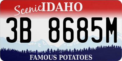ID license plate 3B8685M