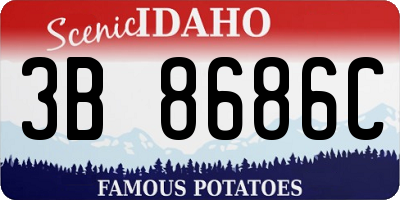 ID license plate 3B8686C