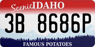 ID license plate 3B8686P