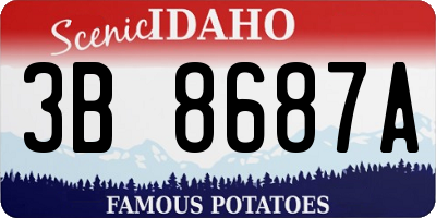 ID license plate 3B8687A
