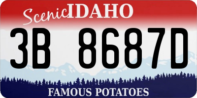 ID license plate 3B8687D
