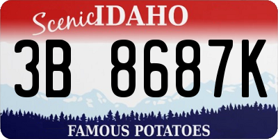 ID license plate 3B8687K