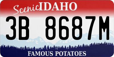 ID license plate 3B8687M