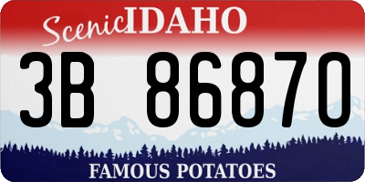 ID license plate 3B8687O