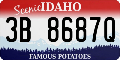 ID license plate 3B8687Q