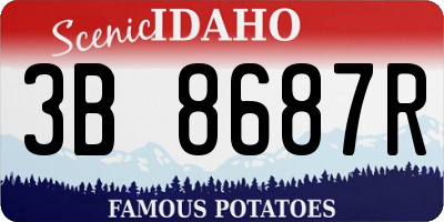 ID license plate 3B8687R
