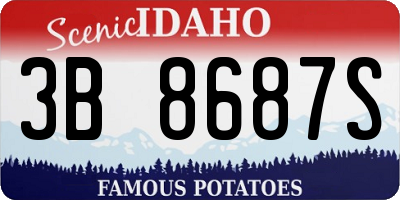 ID license plate 3B8687S