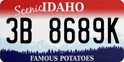 ID license plate 3B8689K