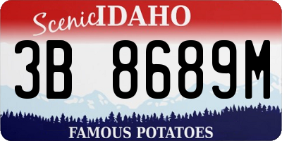 ID license plate 3B8689M