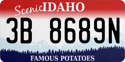 ID license plate 3B8689N