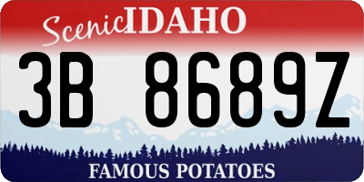 ID license plate 3B8689Z