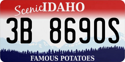 ID license plate 3B8690S