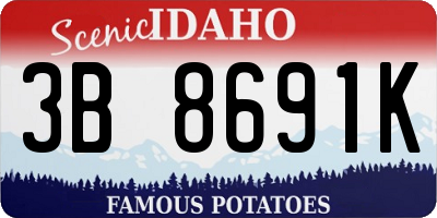 ID license plate 3B8691K