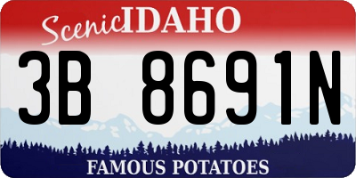 ID license plate 3B8691N