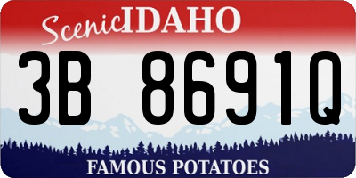ID license plate 3B8691Q