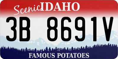 ID license plate 3B8691V