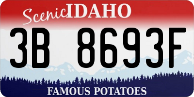 ID license plate 3B8693F