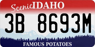 ID license plate 3B8693M