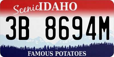 ID license plate 3B8694M