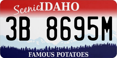 ID license plate 3B8695M