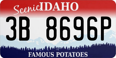 ID license plate 3B8696P