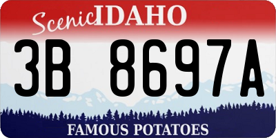 ID license plate 3B8697A