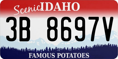 ID license plate 3B8697V