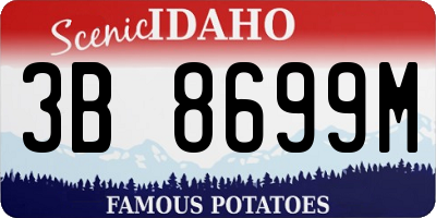 ID license plate 3B8699M