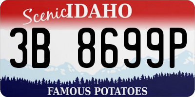 ID license plate 3B8699P