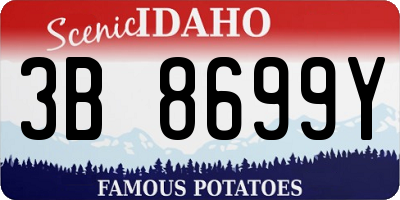 ID license plate 3B8699Y