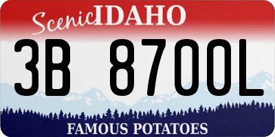 ID license plate 3B8700L