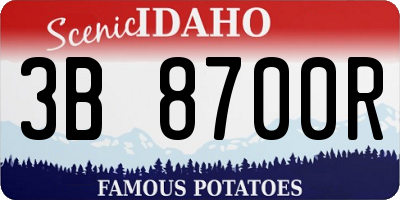 ID license plate 3B8700R