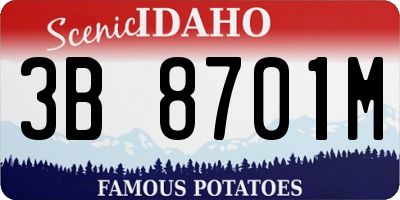 ID license plate 3B8701M