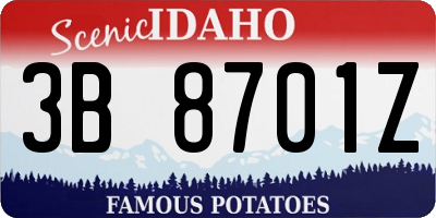ID license plate 3B8701Z