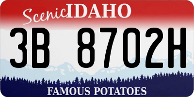 ID license plate 3B8702H