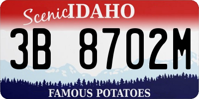 ID license plate 3B8702M