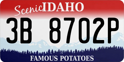 ID license plate 3B8702P