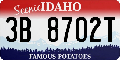 ID license plate 3B8702T