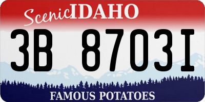 ID license plate 3B8703I