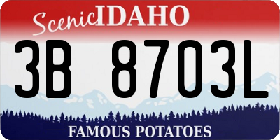 ID license plate 3B8703L