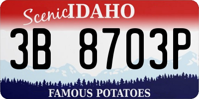 ID license plate 3B8703P