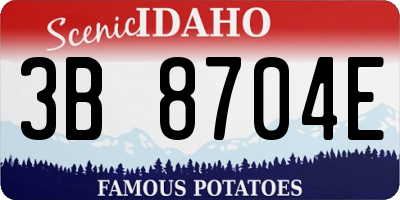 ID license plate 3B8704E